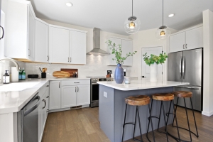 kingfisher-5760-17--2